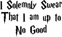 I Solemnly Swear that I am Up to No Good